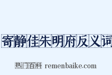 寄静佳朱明府反义词是什么意思的图片
